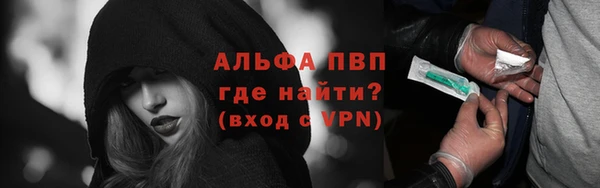 ГАЛЛЮЦИНОГЕННЫЕ ГРИБЫ Каменка