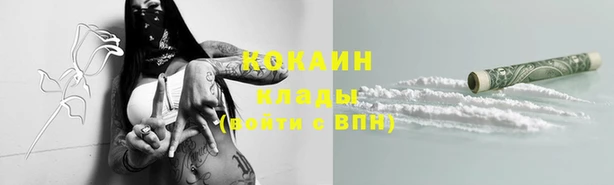 ГАЛЛЮЦИНОГЕННЫЕ ГРИБЫ Каменка