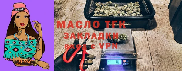 ГАЛЛЮЦИНОГЕННЫЕ ГРИБЫ Каменка