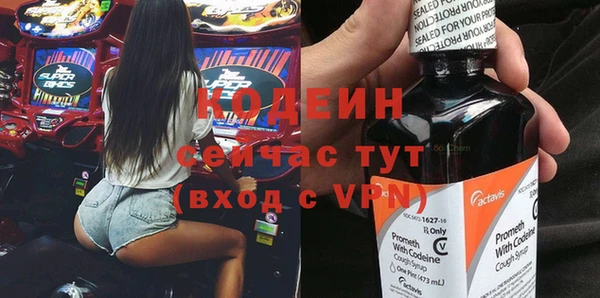 ГАЛЛЮЦИНОГЕННЫЕ ГРИБЫ Каменка