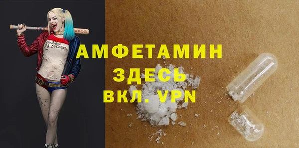 ГАЛЛЮЦИНОГЕННЫЕ ГРИБЫ Каменка