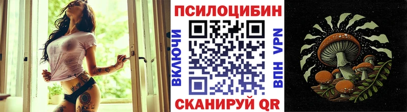 Галлюциногенные грибы MAGIC MUSHROOMS  Купить закладки  Вязники 